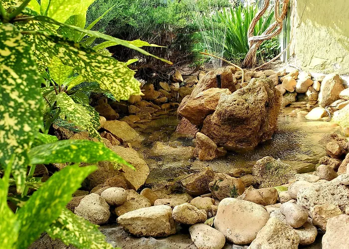 Отель Juli Солнечный берег