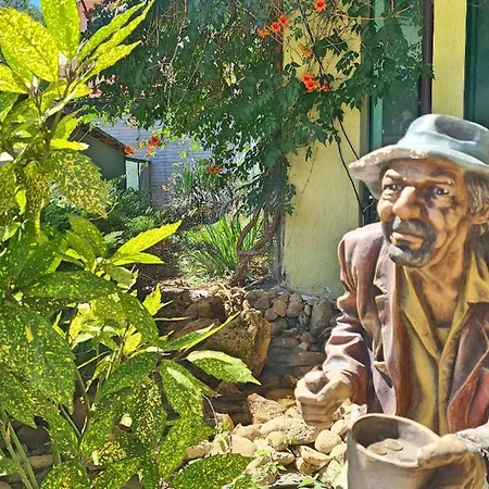 酒店 尤利酒店 阳光海滩