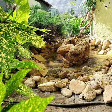 Hotel Juli Slantschew brjag